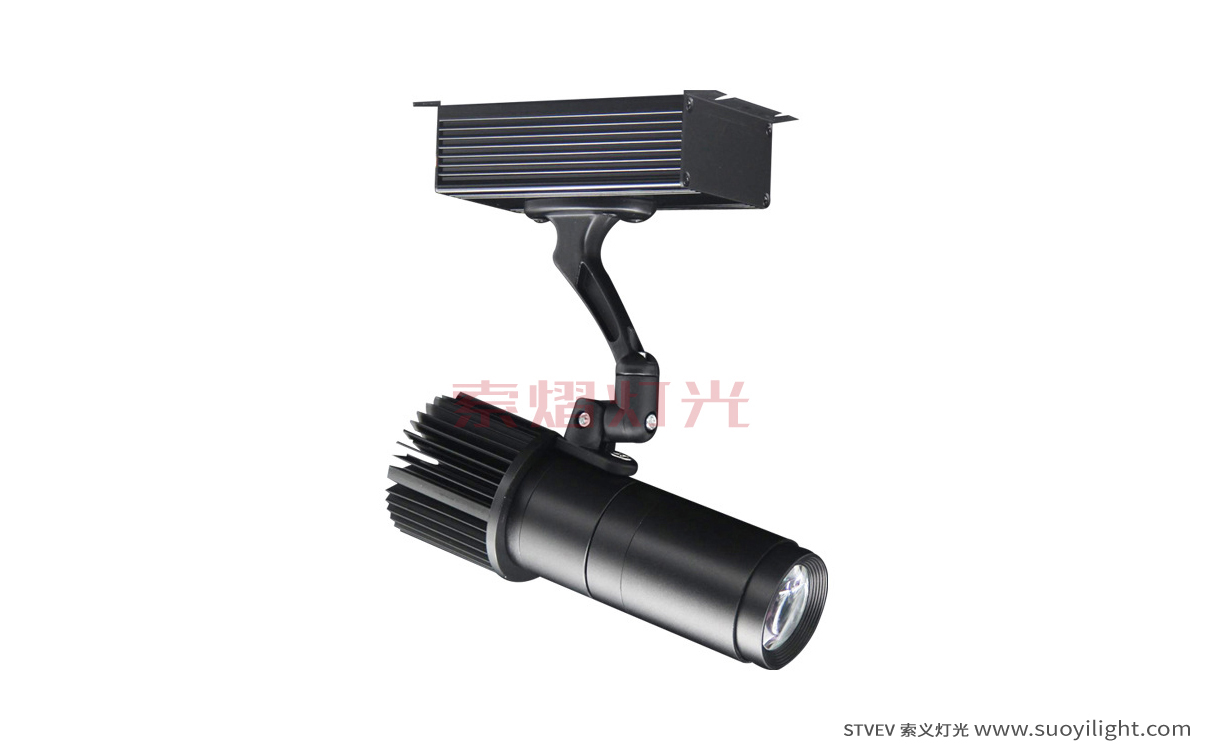 Mexico10W,20W logo Projection Advertising Light