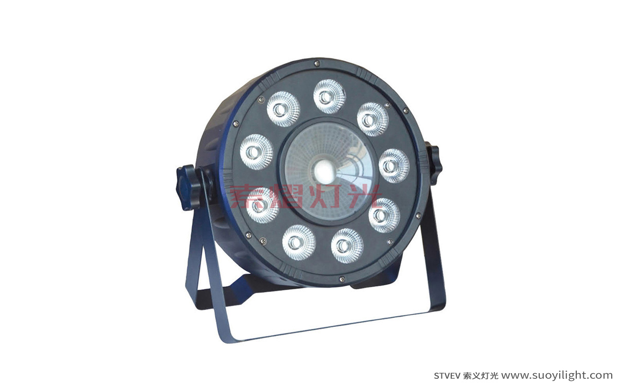 Mexico9+1 LED Plastic Par Light quotation