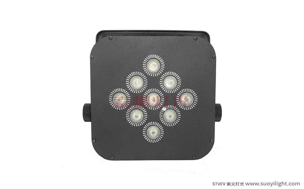 Mexico9*12W LED Wireless Battery Par Light manufacturer